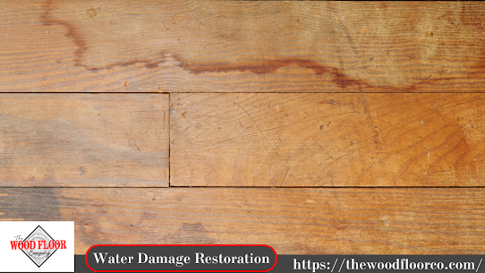 Resilience Rising: Overcoming Water Damage in Oklahoma with Restoration Solutions