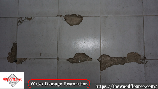 Navigating the Flood: Expert Tips for Water Damage Restoration in Oklahoma